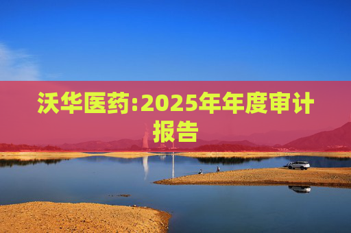 沃华医药:2025年年度审计报告