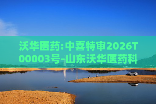 沃华医药:中喜特审2026T00003号-山东沃华医药科技股份有限公司-关联资金占用报告
