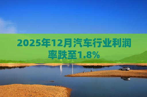 2025年12月汽车行业利润率跌至1.8%