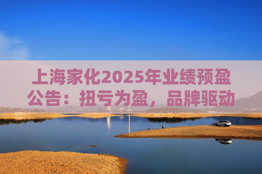 上海家化2025年业绩预盈公告：扭亏为盈，品牌驱动重回增长轨道