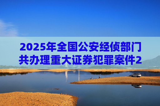 2025年全国公安经侦部门共办理重大证券犯罪案件200余起
