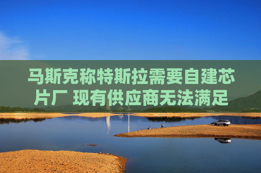 马斯克称特斯拉需要自建芯片厂 现有供应商无法满足需求