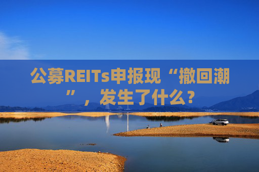 公募REITs申报现“撤回潮”，发生了什么？