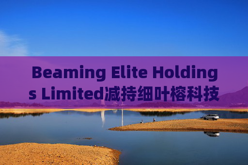 Beaming Elite Holdings Limited减持细叶榕科技(08107)254.5万股 每股作价0.1776港元