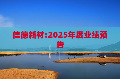 信德新材:2025年度业绩预告  第1张
