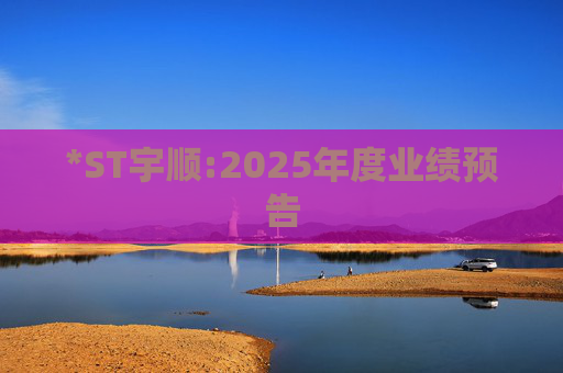 *ST宇顺:2025年度业绩预告  第1张