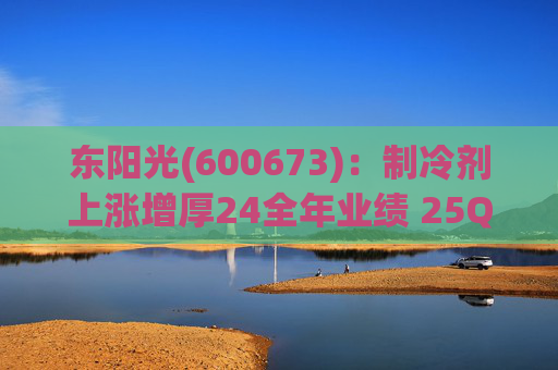 东阳光(600673):制冷剂上涨增厚24全年业绩 25Q1业绩略超预期 液冷与具身智能共创未来 第1张 东阳光(600673):制冷剂上涨增厚24全年业绩 25Q1业绩略超预期 液冷与具身智能共创未来 第1张