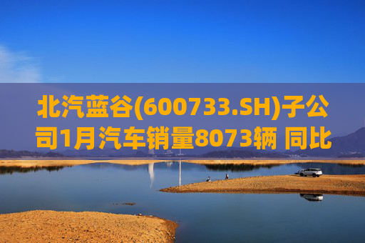 北汽蓝谷(600733.SH)子公司1月汽车销量8073辆 同比增长11.83%