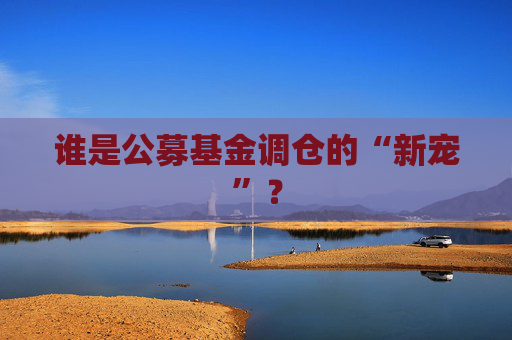 谁是公募基金调仓的“新宠”? 第1张 谁是公募基金调仓的“新宠”? 第1张