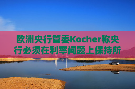 欧洲央行管委Kocher称央行必须在利率问题上保持所有选项开放