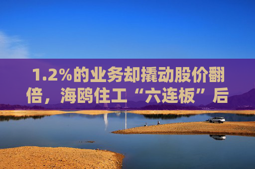 1.2%的业务却撬动股价翻倍，海鸥住工“六连板”后跌停，在越建厂能否扛住关税冲击？
