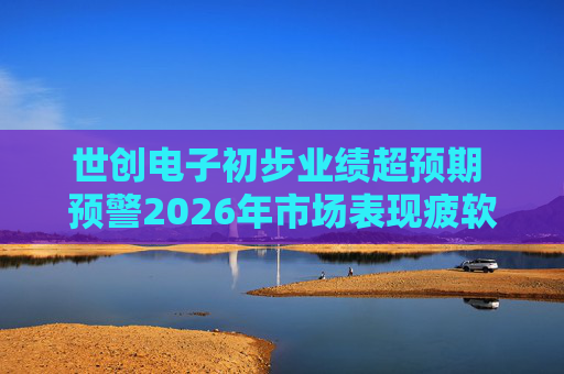 世创电子初步业绩超预期 预警2026年市场表现疲软