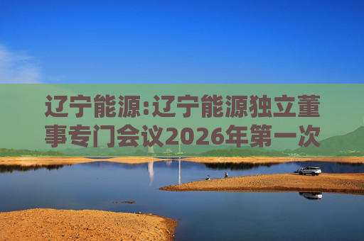 辽宁能源:辽宁能源独立董事专门会议2026年第一次会议决议