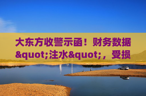 大东方收警示函！财务数据"注水"，受损股民可索赔维权