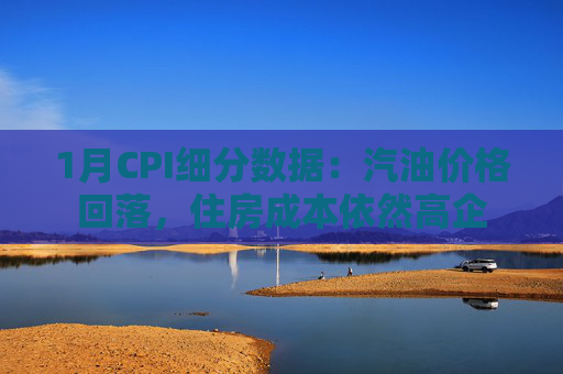 1月CPI细分数据：汽油价格回落，住房成本依然高企