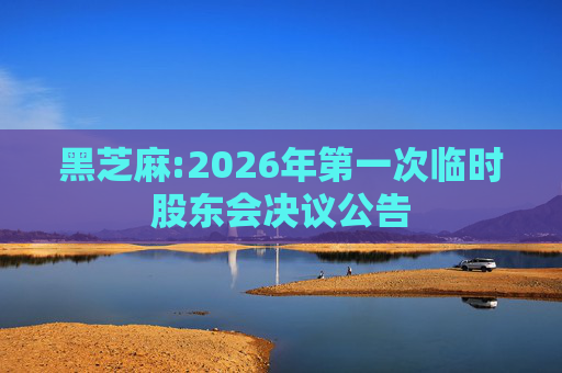 黑芝麻:2026年第一次临时股东会决议公告