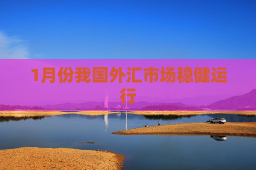 1月份我国外汇市场稳健运行