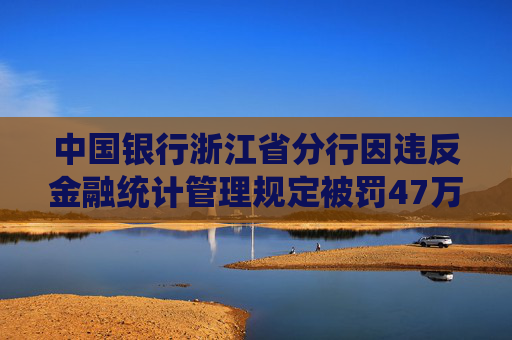 中国银行浙江省分行因违反金融统计管理规定被罚47万元