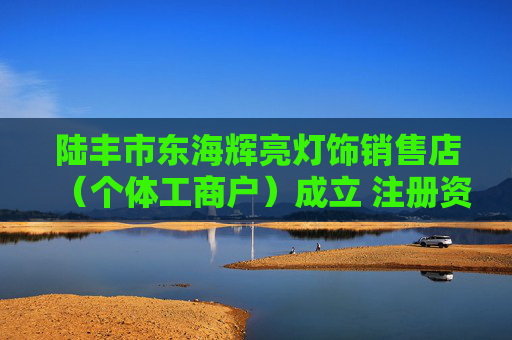 陆丰市东海辉亮灯饰销售店（个体工商户）成立 注册资本1万人民币