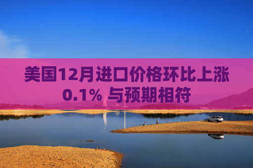 美国12月进口价格环比上涨0.1% 与预期相符
