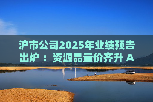 沪市公司2025年业绩预告出炉 ：资源品量价齐升 AI链景气延续