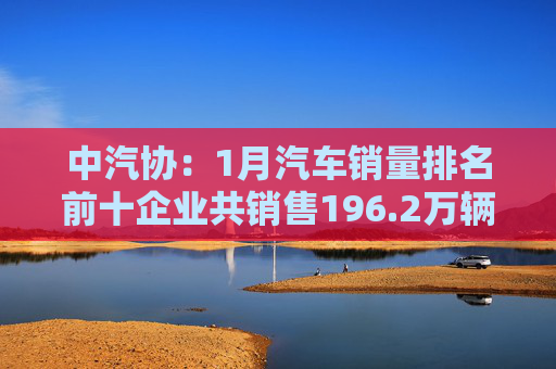 中汽协：1月汽车销量排名前十企业共销售196.2万辆