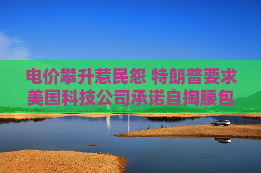 电价攀升惹民怨 特朗普要求美国科技公司承诺自掏腰包建设AI数据中心