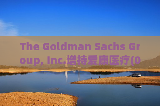 The Goldman Sachs Group, Inc.增持爱康医疗(01789)142万股 每股作价6.26港元  第1张