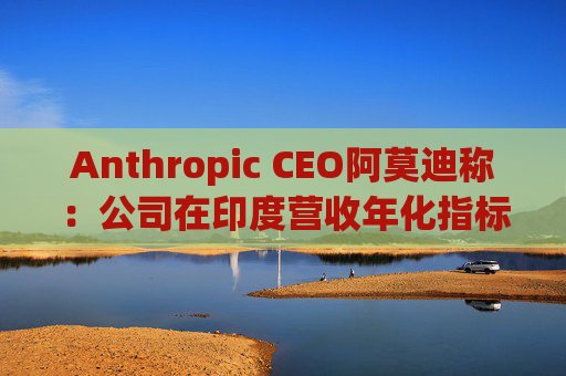 Anthropic CEO阿莫迪称：公司在印度营收年化指标4个月内翻倍