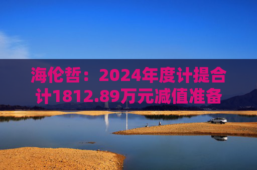 海伦哲：2024年度计提合计1812.89万元减值准备