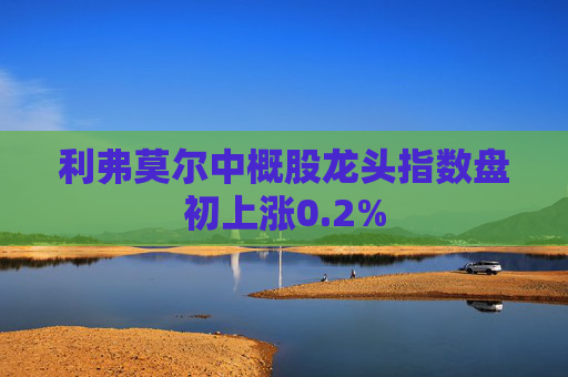 利弗莫尔中概股龙头指数盘初上涨0.2%  第1张
