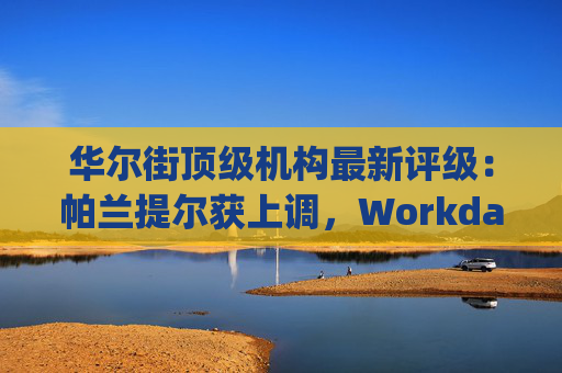 华尔街顶级机构最新评级：帕兰提尔获上调，Workday遭下调