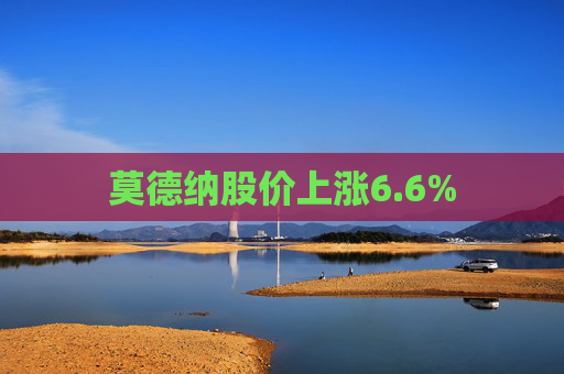 莫德纳股价上涨6.6%