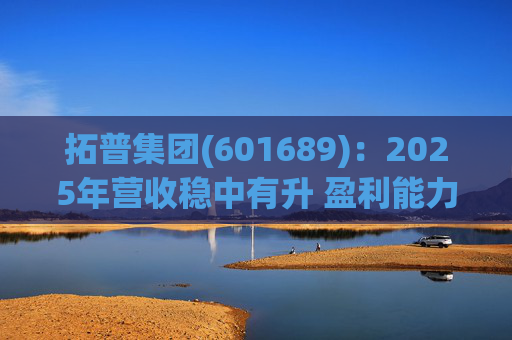 拓普集团(601689)：2025年营收稳中有升 盈利能力短期承压