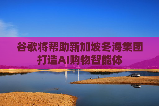 谷歌将帮助新加坡冬海集团打造AI购物智能体