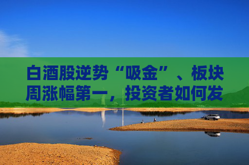 白酒股逆势“吸金”、板块周涨幅第一，投资者如何发掘舍得酒业的“质价比”