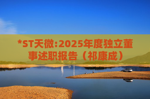 *ST天微:2025年度独立董事述职报告（祁康成）