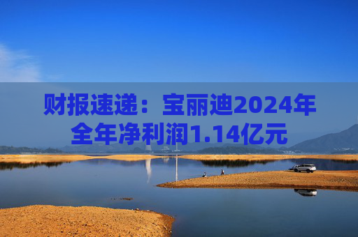 财报速递：宝丽迪2024年全年净利润1.14亿元