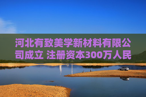 河北有致美学新材料有限公司成立 注册资本300万人民币