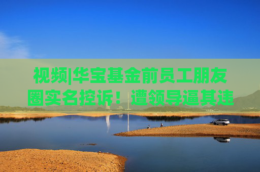 视频|华宝基金前员工朋友圈实名控诉!遭领导逼其违规操作,称“已发起仲裁”