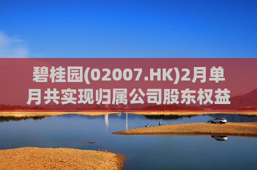 碧桂园(02007.HK)2月单月共实现归属公司股东权益合同销售金额约22.3亿元