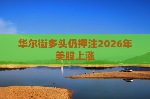 华尔街多头仍押注2026年美股上涨