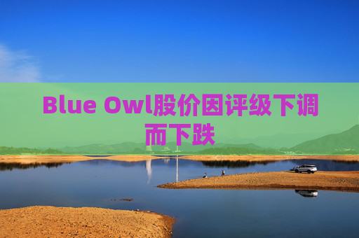 Blue Owl股价因评级下调而下跌