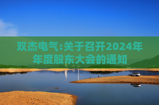 双杰电气:关于召开2024年年度股东大会的通知