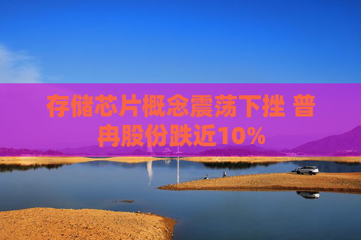 存储芯片概念震荡下挫 普冉股份跌近10%
