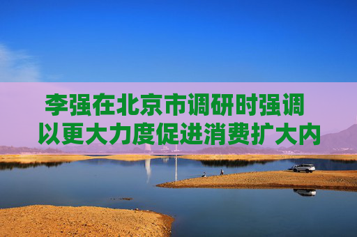 李强在北京市调研时强调 以更大力度促进消费扩大内需做强国内大循环