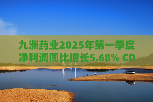 九洲药业2025年第一季度净利润同比增长5.68% CDMO业务稳步提升 第1张 九洲药业2025年第一季度净利润同比增长5.68% CDMO业务稳步提升 第1张