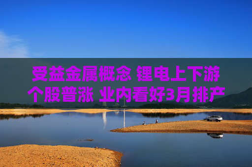 受益金属概念 锂电上下游个股普涨 业内看好3月排产
