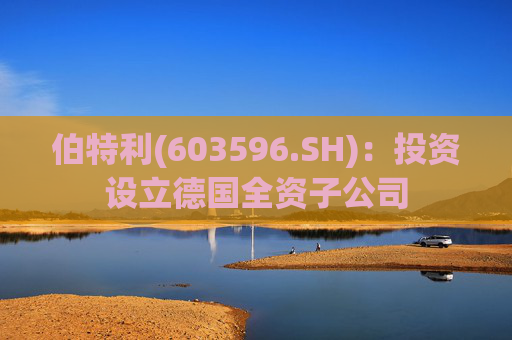 伯特利(603596.SH)：投资设立德国全资子公司
