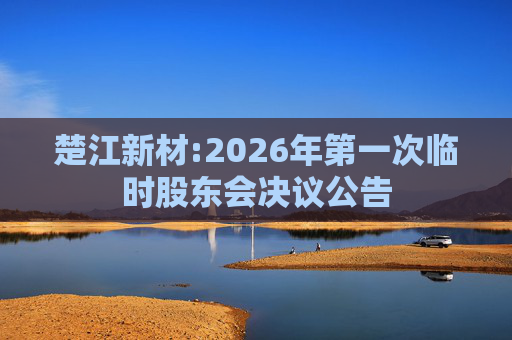 楚江新材:2026年第一次临时股东会决议公告